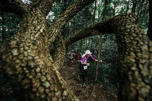 BIB: 
                            <button type="button" onclick="openModal(25393179)" class="btn btn-primary btn-sm float-right btn-popup" data-toggle="modal" data-target=".modal-high-quality">
                        <i class="fas fa-shopping-cart"></i> Add to Cart
                    </button>
                                            <button type="button" onclick="isThisMe(25393179, true)" class="btn btn-success btn-sm float-right btn-popup btn-isme hidden" data-toggle="tooltip" data-placement="bottom" title="นี่คือรูปของคุณใช่ไหม คลิกที่นี่เพื่อเอาเข้าอัลบั้ม">
                        <i class="fas fa-plus"></i> Add to album
                    </button>
                    <button type="button" onclick="isThisMe(25393179, false)" class="btn btn-warning btn-sm float-right btn-popup btn-isnotme hidden">
                        <i class="fas fa-ban"></i> Remove from album
                    </button>